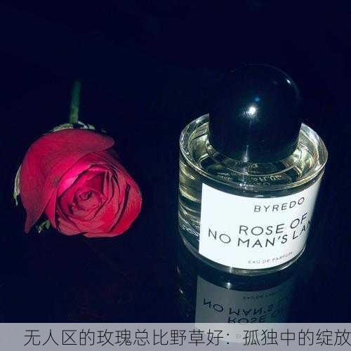 无人区的玫瑰总比野草好：孤独中的绽放