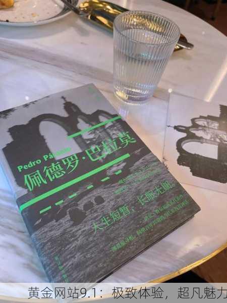 黄金网站9.1：极致体验，超凡魅力