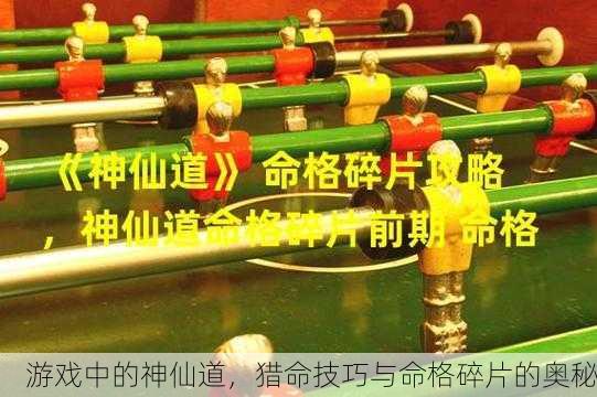 游戏中的神仙道，猎命技巧与命格碎片的奥秘