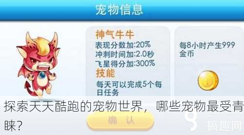 探索天天酷跑的宠物世界，哪些宠物最受青睐？