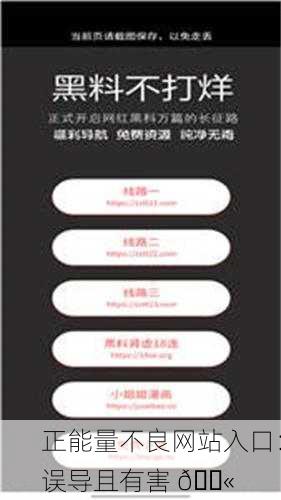 正能量不良网站入口：误导且有害 🚫