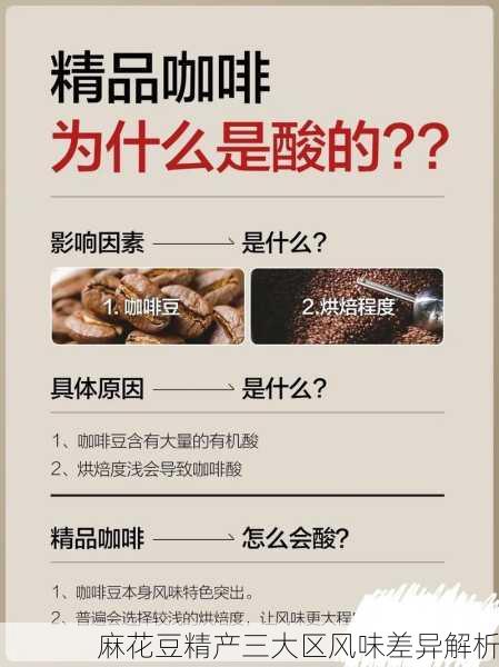 麻花豆精产三大区风味差异解析