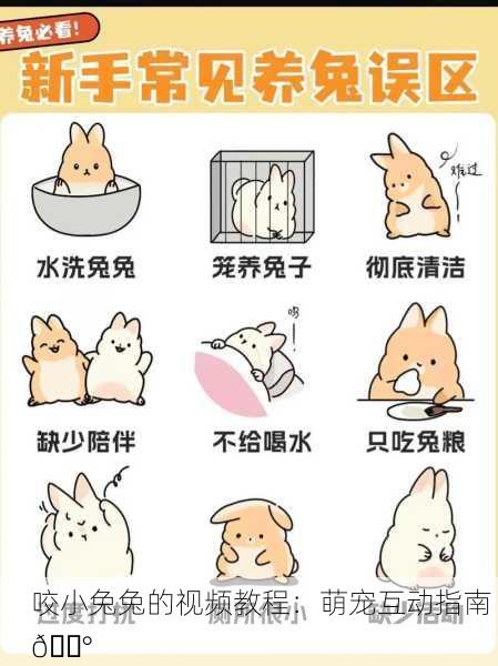 咬小兔兔的视频教程：萌宠互动指南 🐰