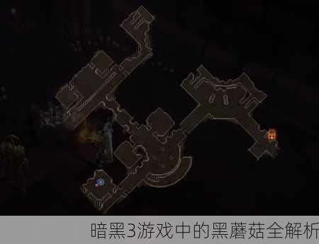暗黑3游戏中的黑蘑菇全解析