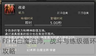 FF14白魔法师，战斗与练级循环攻略