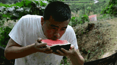 吃瓜爆料黑料在线HEILIAO：娱乐八卦一网打尽 🍉