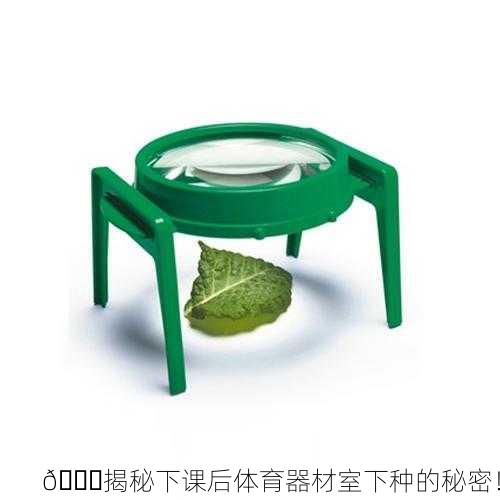 🔍揭秘下课后体育器材室下种的秘密！