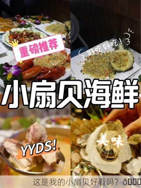 这是我的小扇贝好看吗？🌟