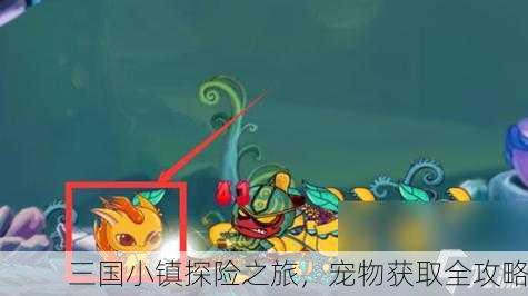 三国小镇探险之旅，宠物获取全攻略