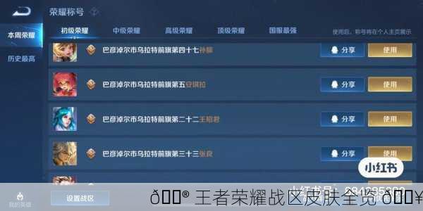 🎮 王者荣耀战区皮肤全览 🔥