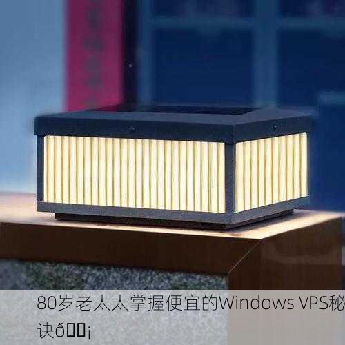 80岁老太太掌握便宜的Windows VPS秘诀💡