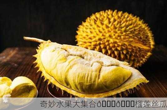 奇妙水果大集合🍓🍌榴莲丝瓜