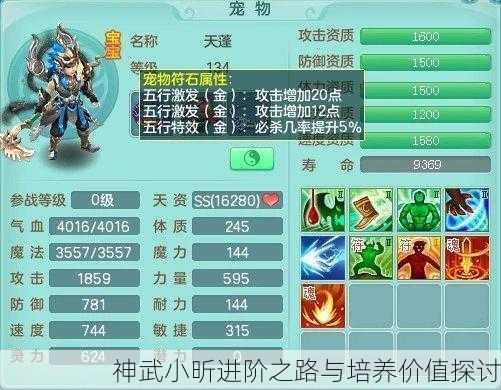 神武小昕进阶之路与培养价值探讨