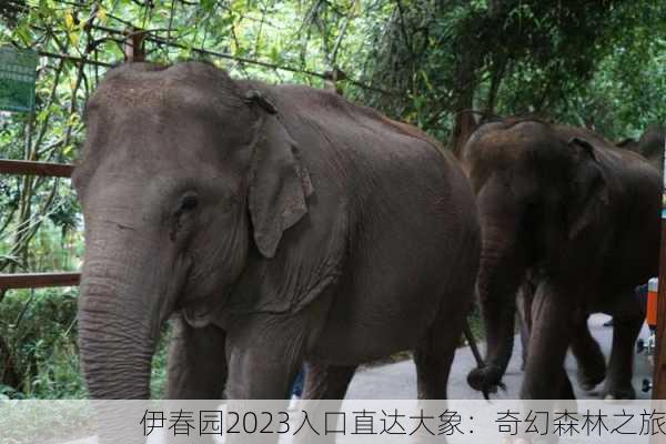 伊春园2023入口直达大象：奇幻森林之旅