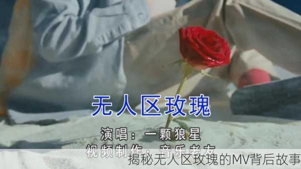 揭秘无人区玫瑰的MV背后故事