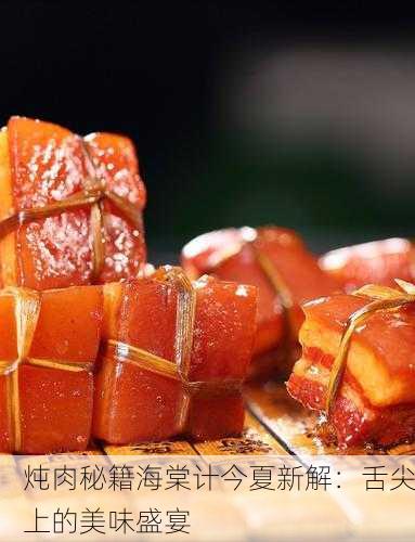 炖肉秘籍海棠计今夏新解：舌尖上的美味盛宴