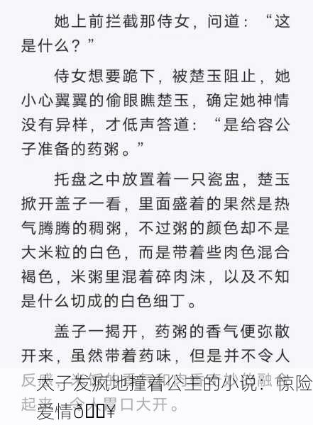 太子发疯地撞着公主的小说：惊险爱情🔥