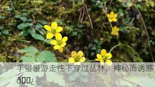 手慢慢游走往下穿过丛林，神秘而诱惑 🌿