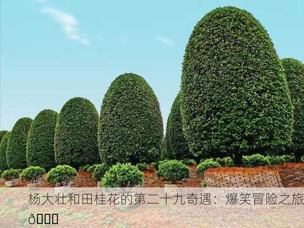 杨大壮和田桂花的第二十九奇遇：爆笑冒险之旅😂