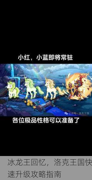 冰龙王回忆，洛克王国快速升级攻略指南