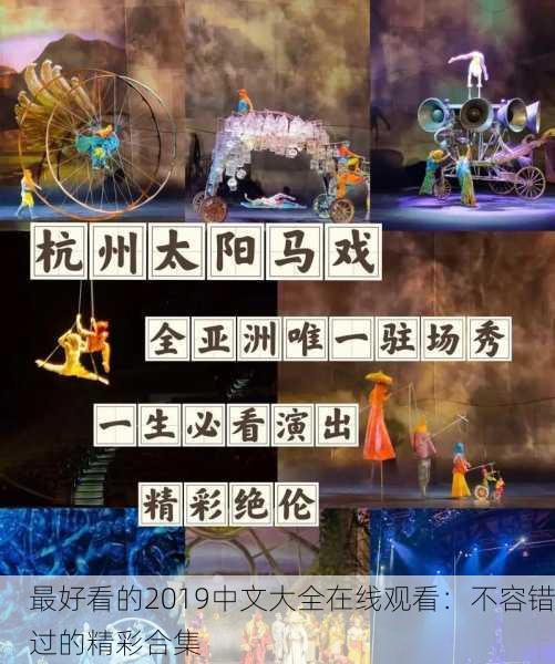 最好看的2019中文大全在线观看：不容错过的精彩合集