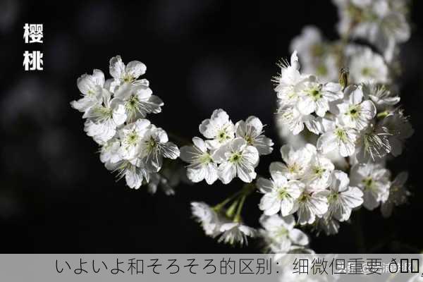 いよいよ和そろそろ的区别：细微但重要 🌸