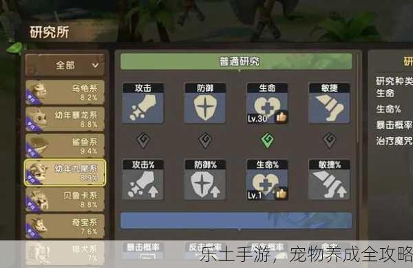 乐土手游，宠物养成全攻略