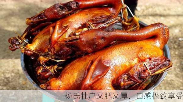 杨氏牡户又肥又厚，口感极致享受