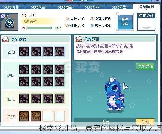 探索彩虹岛，灵宠的奥秘与获取之道
