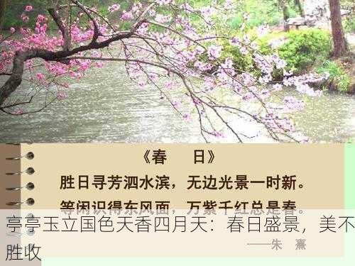 亭亭玉立国色天香四月天：春日盛景，美不胜收