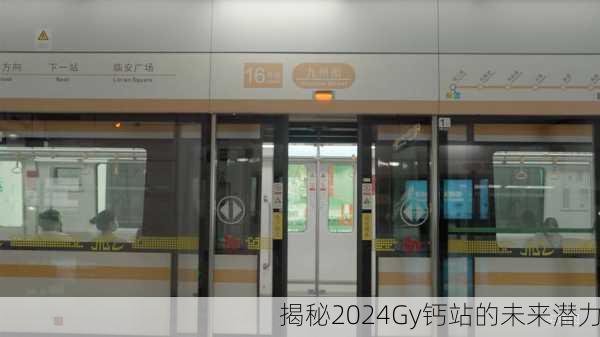 揭秘2024Gy钙站的未来潜力