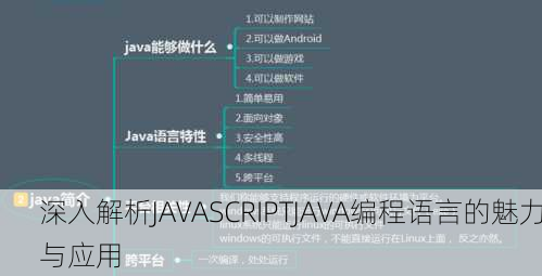 深入解析JAVASCRIPTJAVA编程语言的魅力与应用