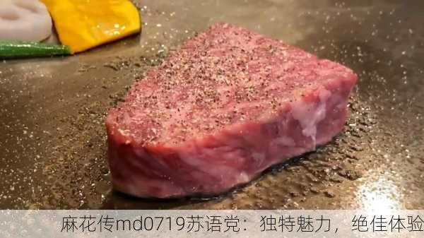 麻花传md0719苏语党：独特魅力，绝佳体验