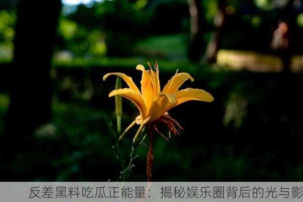 反差黑料吃瓜正能量：揭秘娱乐圈背后的光与影