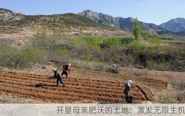 开垦母亲肥沃的土地：激发无限生机