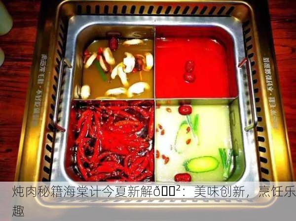 炖肉秘籍海棠计今夏新解🍲：美味创新，烹饪乐趣