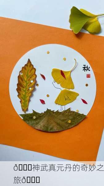 💖神武真元丹的奇妙之旅🍂