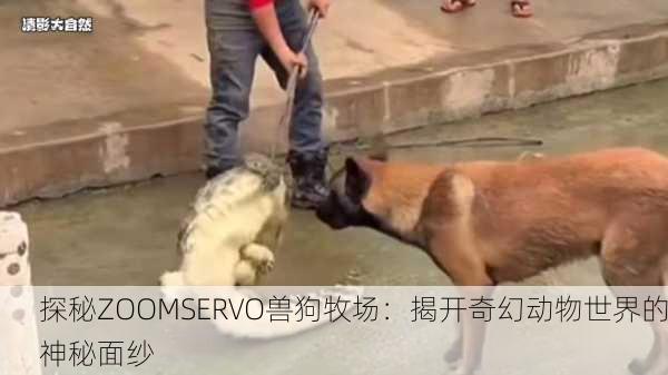 探秘ZOOMSERVO兽狗牧场：揭开奇幻动物世界的神秘面纱