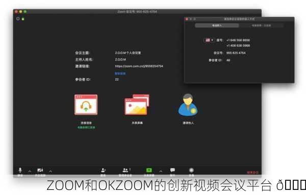 ZOOM和OKZOOM的创新视频会议平台 🚀