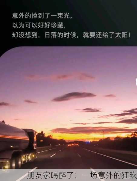 朋友家喝醉了：一场意外的狂欢