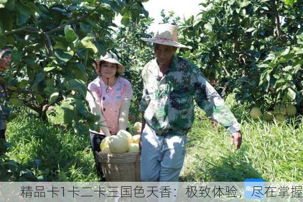 精品卡1卡二卡三国色天香：极致体验，尽在掌握