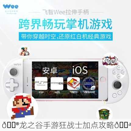 🎮龙之谷手游狂战士加点攻略💪