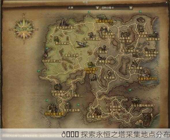 🌐 探索永恒之塔采集地点分布