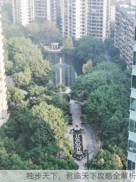 独步天下，君临天下攻略全解析
