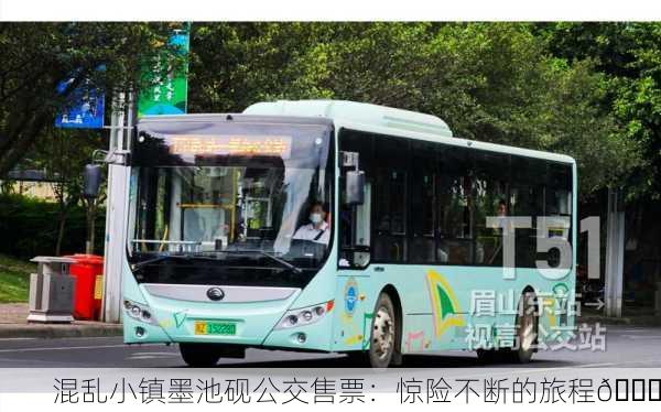 混乱小镇墨池砚公交售票：惊险不断的旅程🚌