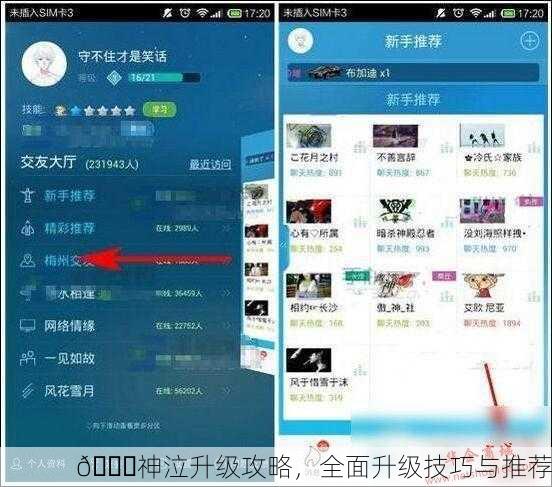 🎉神泣升级攻略，全面升级技巧与推荐