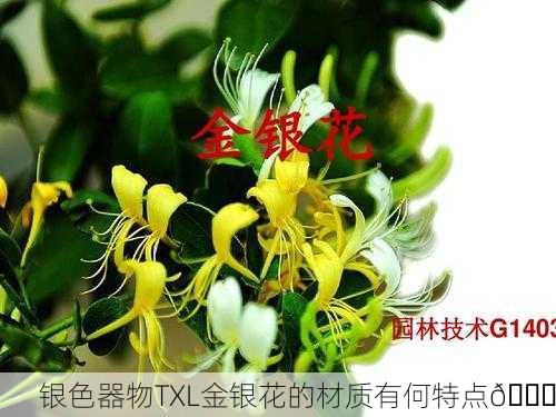 银色器物TXL金银花的材质有何特点🌟