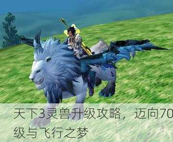 天下3灵兽升级攻略，迈向70级与飞行之梦