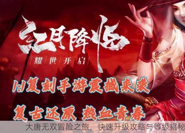 大唐无双冒险之旅，快速升级攻略与等级揭秘