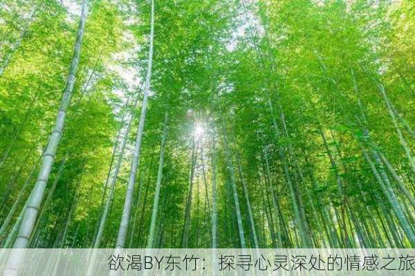 欲渴BY东竹：探寻心灵深处的情感之旅